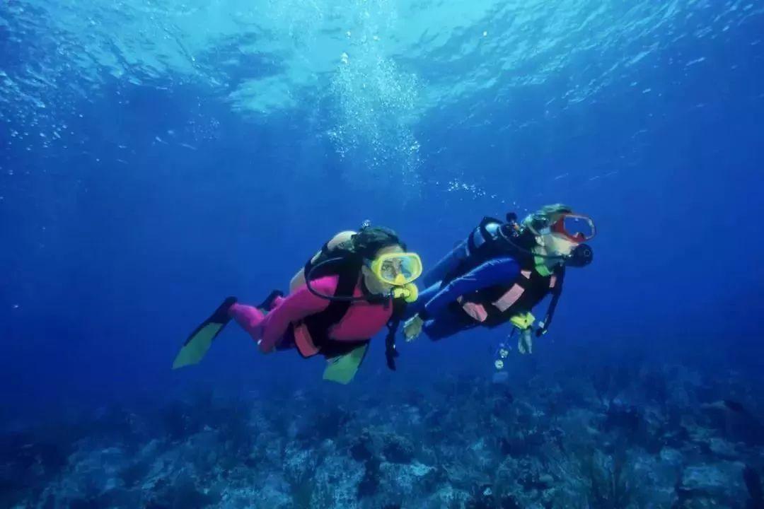 大话2免费版