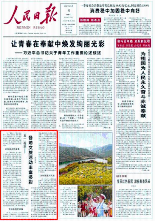 拯救小松鼠