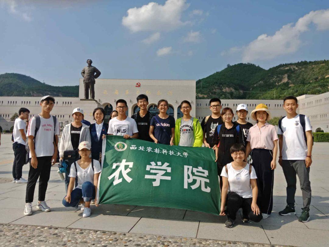 梦幻诛仙