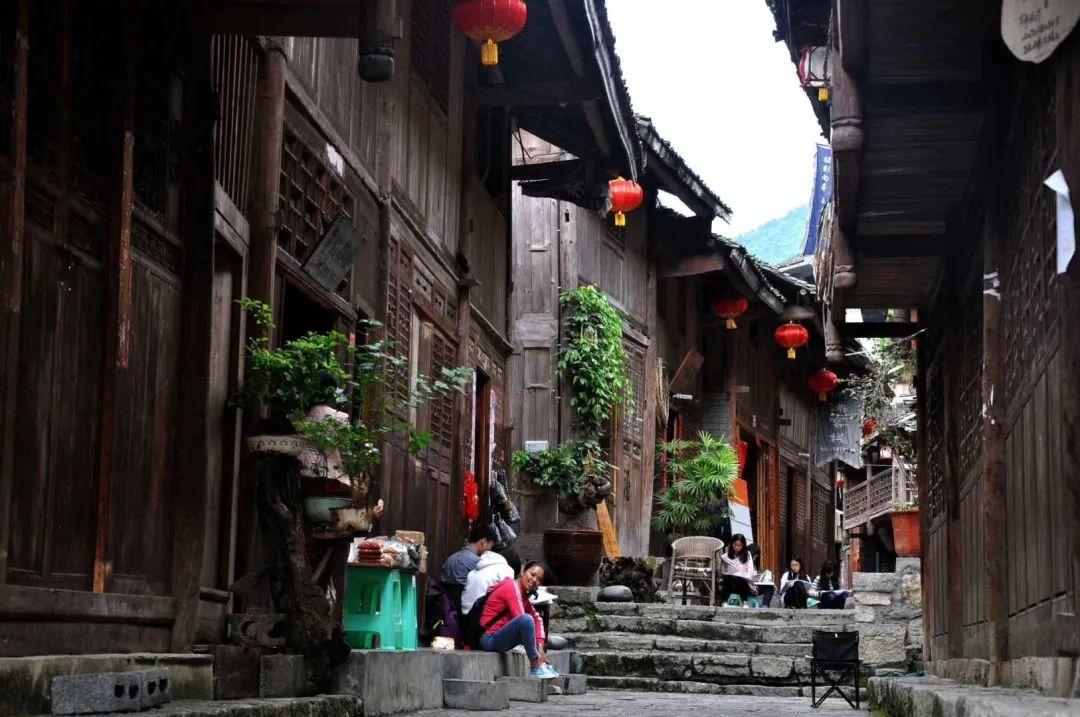 小猪佩奇饲养员